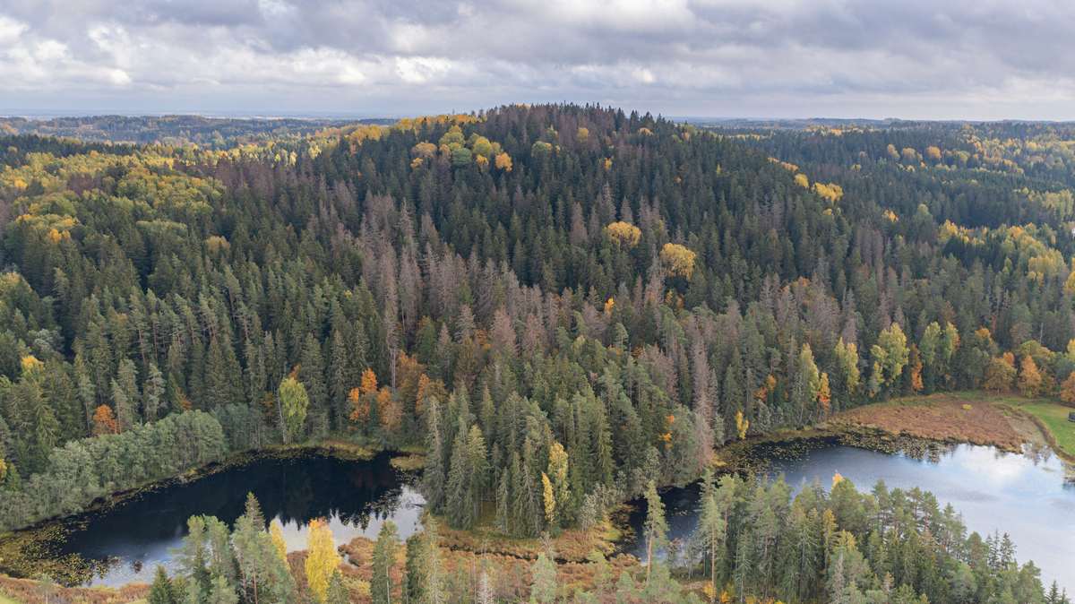 VORUMAA22 Vallamagi v