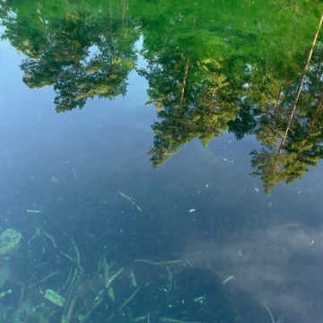 Jumalamägi