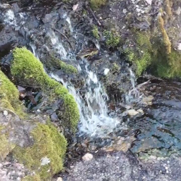 Salevere Salumäe Silmaallikas